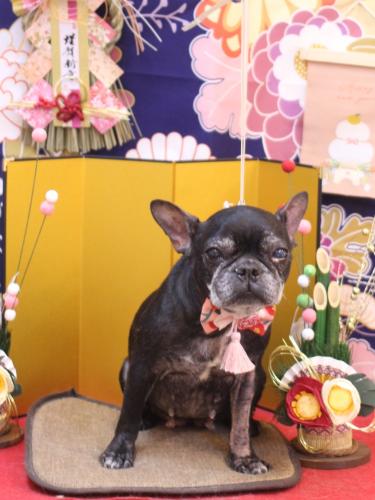 20240127さつきちゃん